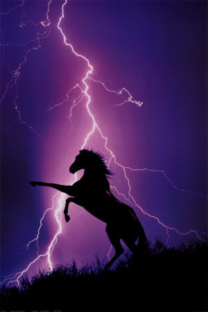 trop beau