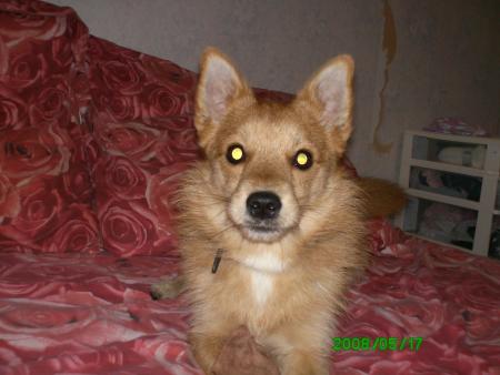 ma bouille