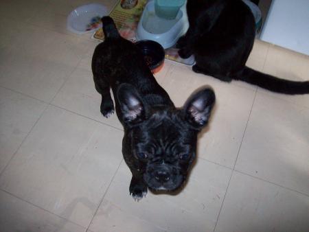 doucka 4 mois